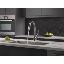 Esque Single-Handle Pull-Down Sprayer Kitchen Faucet With ShieldSpray Technology In Arctic Stainless -Hardware Store 03f3584888689a3a4201e34de9abac84 1800x1800