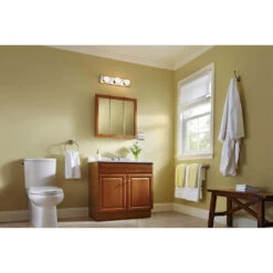 Style Selections 24.25-in X 24-in Square Surface Mirrored Medicine Cabinet -Hardware Store 094803003139 15620306 1800x1800