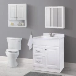 Style Selections 24.25-in X 24-in Square Surface Mirrored Medicine Cabinet -Hardware Store 094803022215 15525530 1800x1800