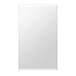 Style Selections 15.375-in X 26-in Rectangle Surface/Recessed Mirrored Medicine Cabinet