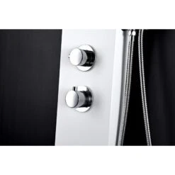 ANZZI Aquifer White 2-Spray Shower Panel System (Valve Included)