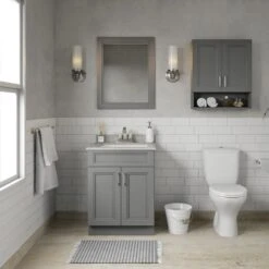 MagickWoods Elements Stratton 24"W X 7"D X 28"H Gray Bathroom Wall Cabinet -Hardware Store 30045 beautyscene1 mw 1800x1800