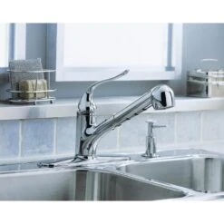 Coralais Single-Handle Pull-Out Sprayer Kitchen Faucet With MasterClean Sprayface In Polished Chrome -Hardware Store 44a770edc38eecb32ccf5026cdebadf2 1800x1800