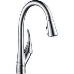 Esque Single-Handle Pull-Down Sprayer Kitchen Faucet With ShieldSpray Technology In Arctic Stainless