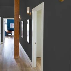 ColorPlace ULTRA Interior Paint & Primer, Onyx Black, Flat, 1 Gallon -Hardware Store a5fc47e2 79b2 41a5 8a0d fe29f0ecbab1.83b02430d358274c1d4d3caa9be68c7c 1800x1800